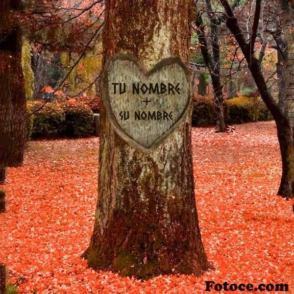 Escribe tus nombres en un árbol romántico